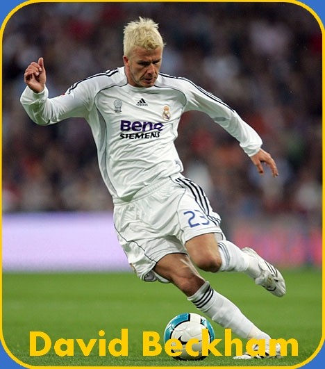 Becks