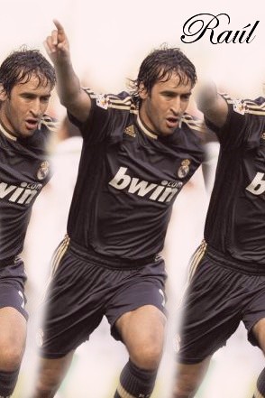 raul_24911t